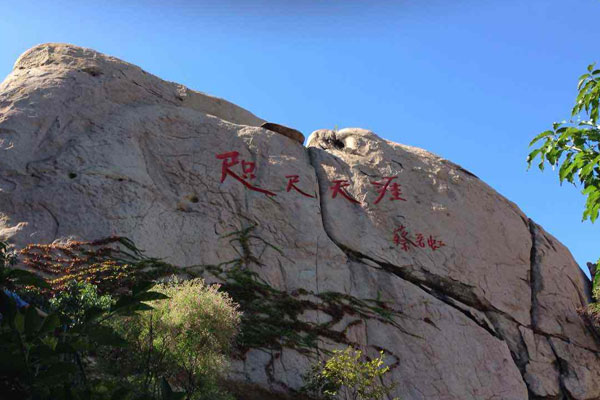 青岛+崂山+黄岛西海岸+金沙滩+桥隧东西海岸线纯玩2日游